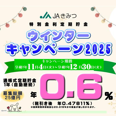 キャンペーン期間用 thirtytwo キャンペーン期間用 thirtytwo 2025年1